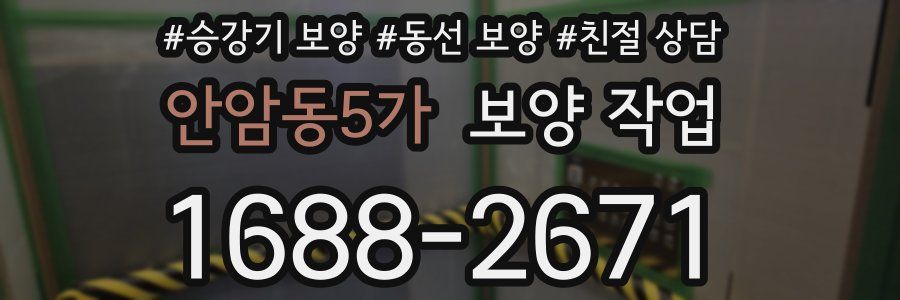 안암동5가 보양 작업