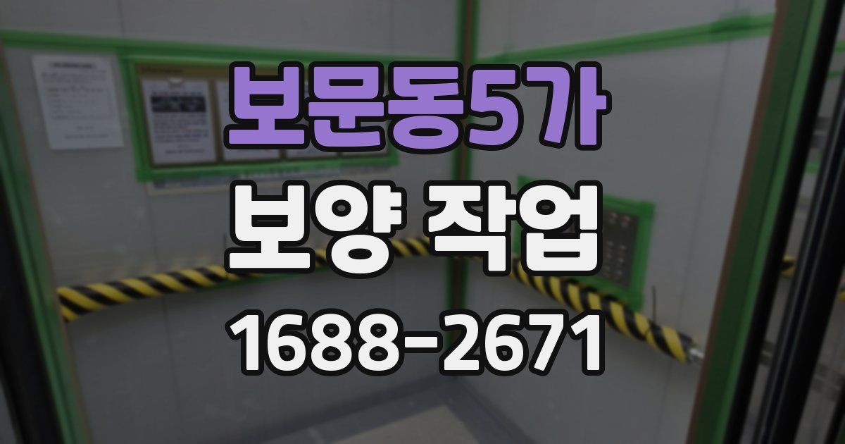 보문동5가 보양 작업