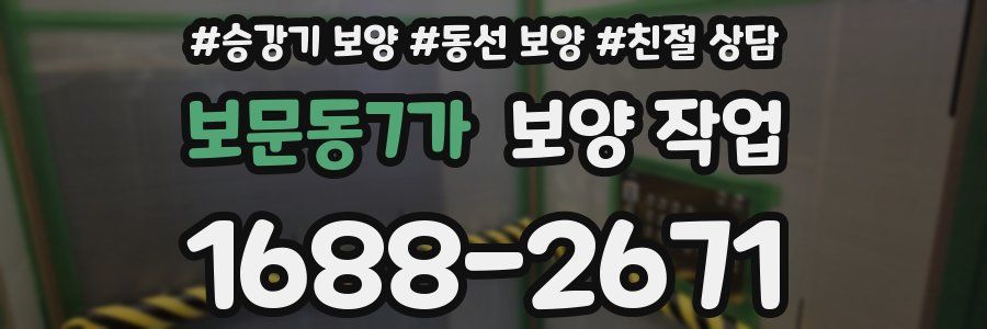 보문동7가 보양 작업