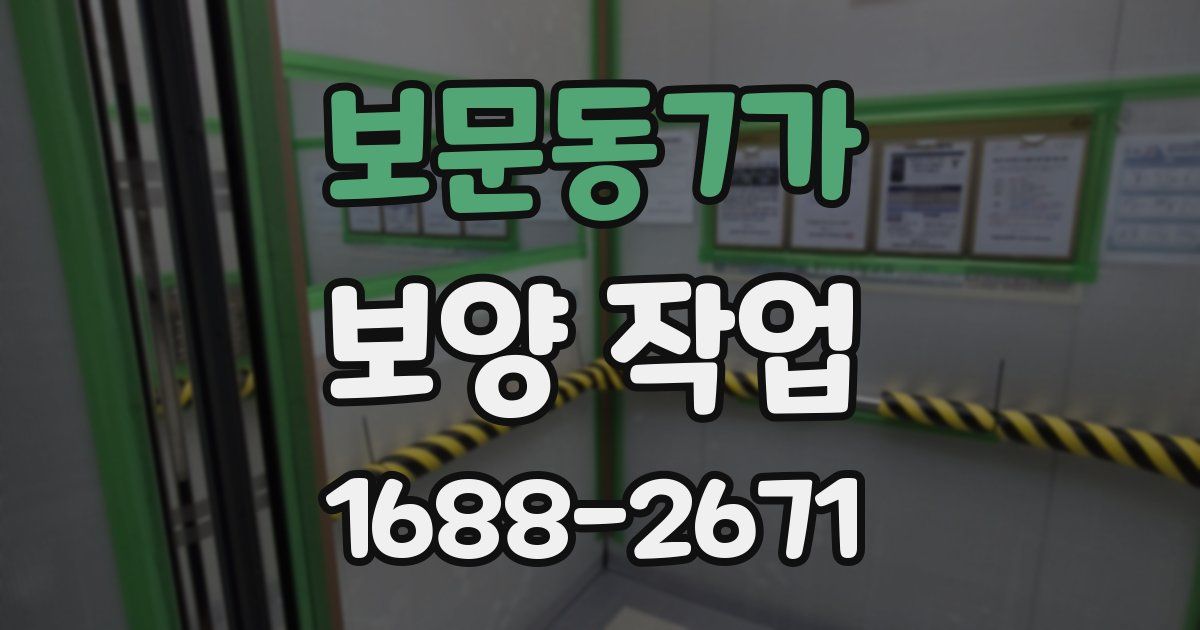보문동7가 보양 작업