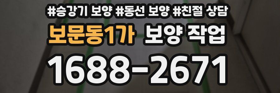 보문동1가 보양 작업