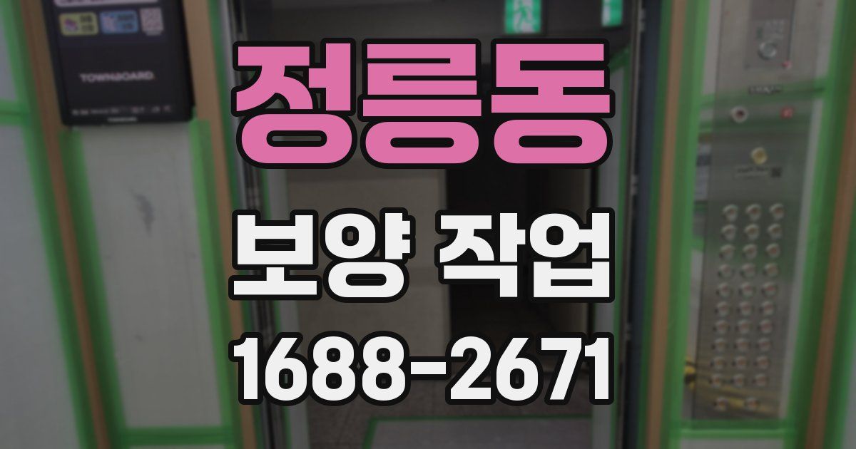 정릉동 보양 작업