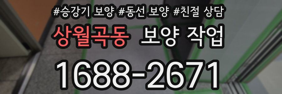 상월곡동 보양 작업