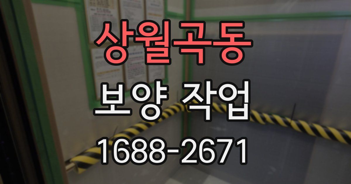 상월곡동 보양 작업