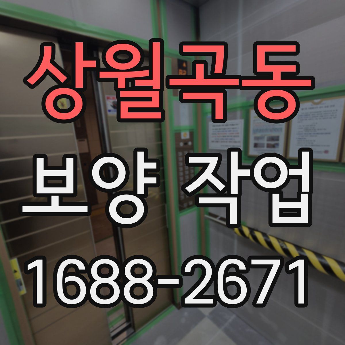 상월곡동 보양 작업