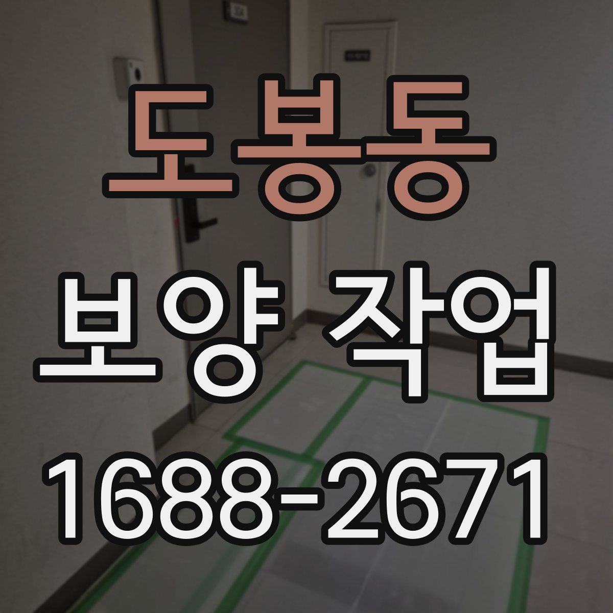 도봉동 보양 작업
