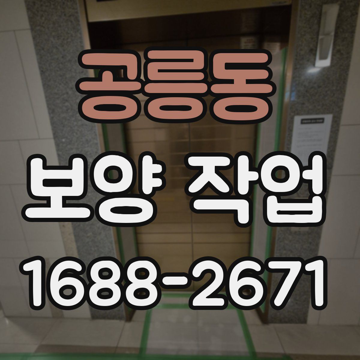 공릉동 보양 작업