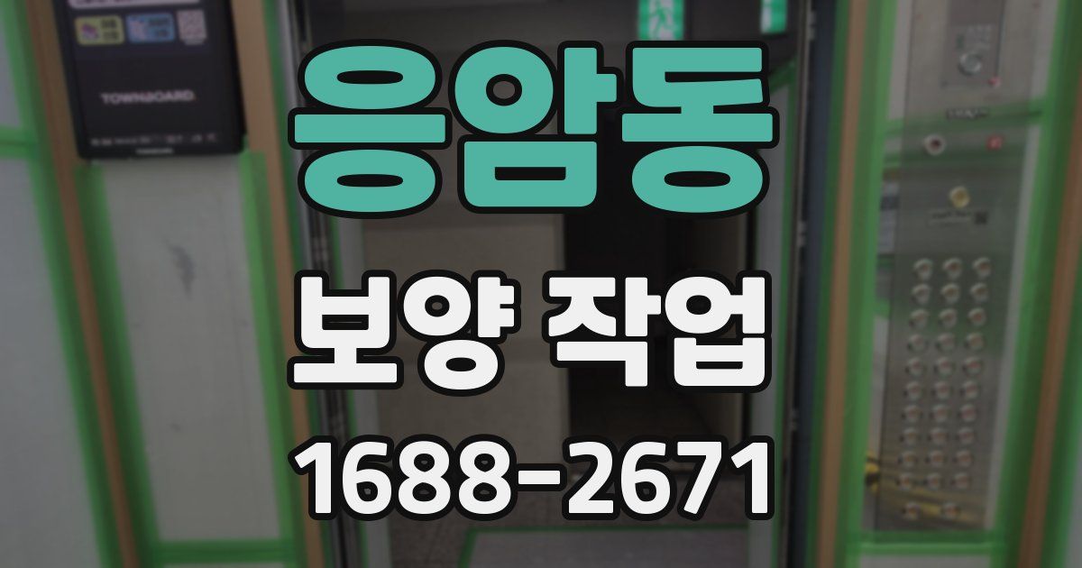 응암동 보양 작업
