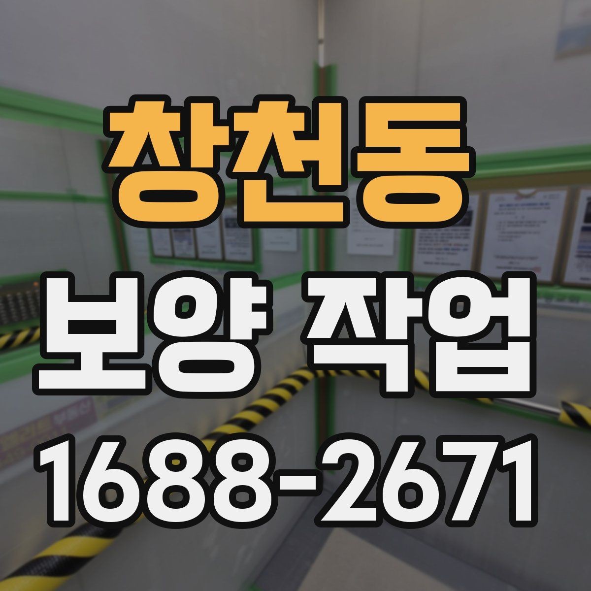 창천동 보양 작업 후 정리와 유지 관리 방법