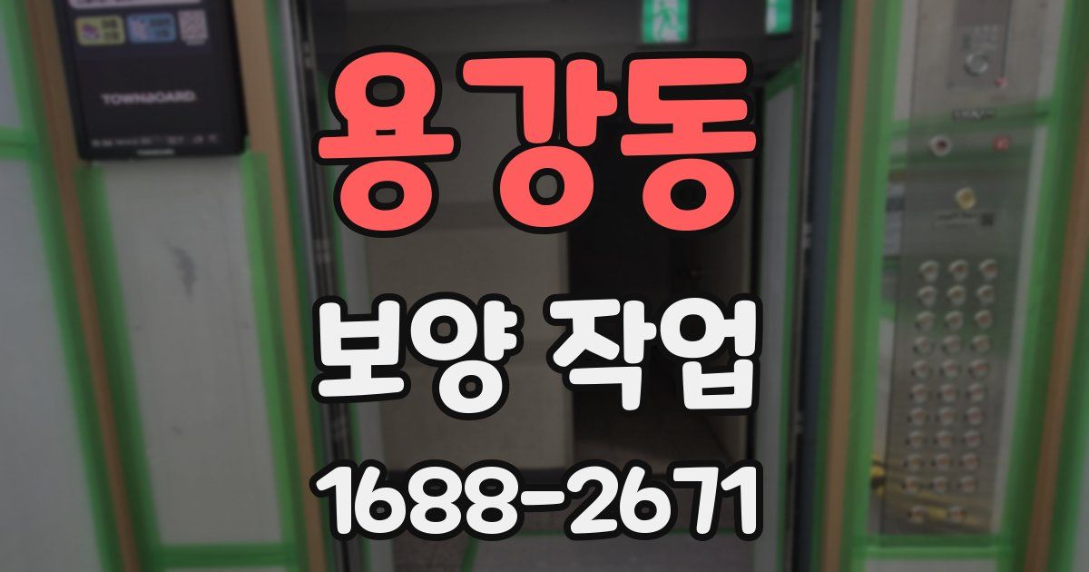 용강동 보양 작업