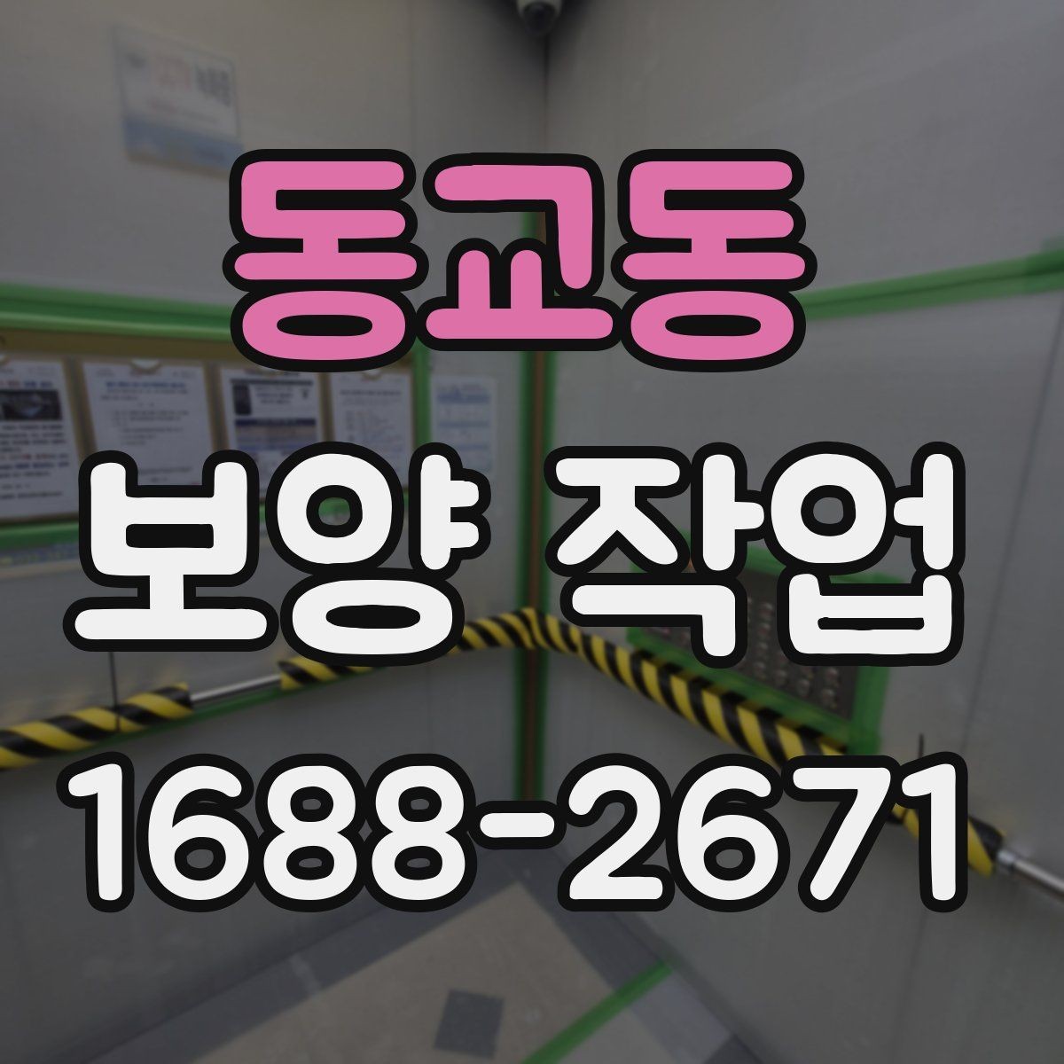 동교동 보양 작업 진행 시 비교해야 할 포인트