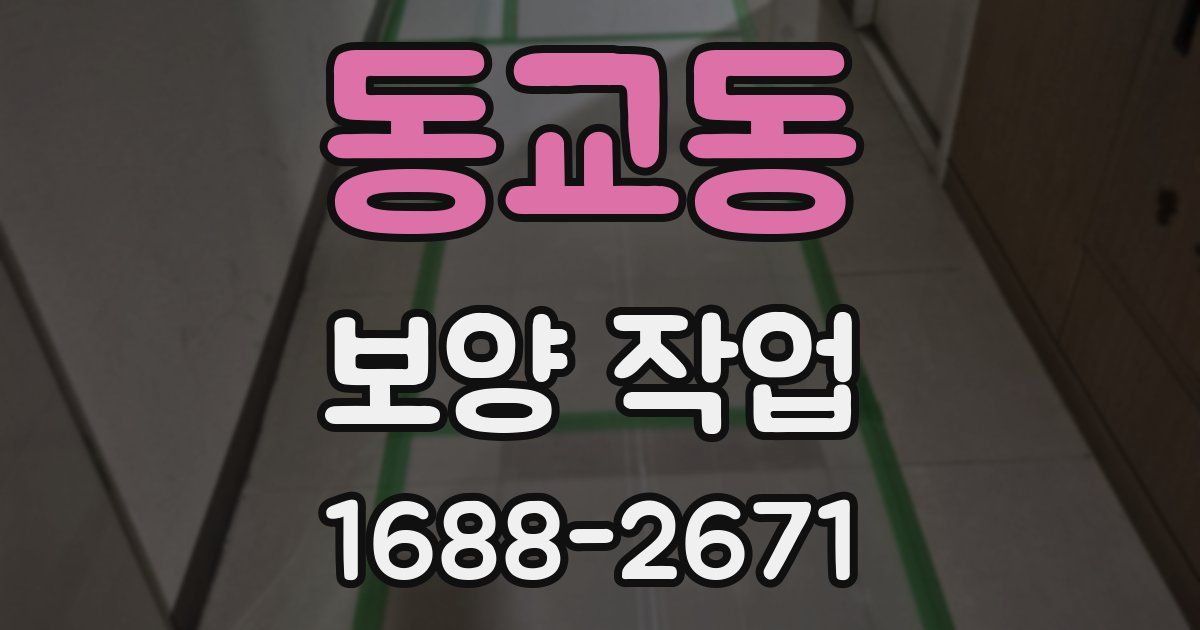 동교동 보양 작업