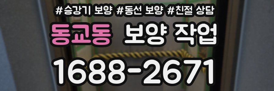 동교동 보양 작업