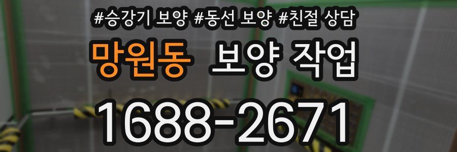 망원동 보양 작업