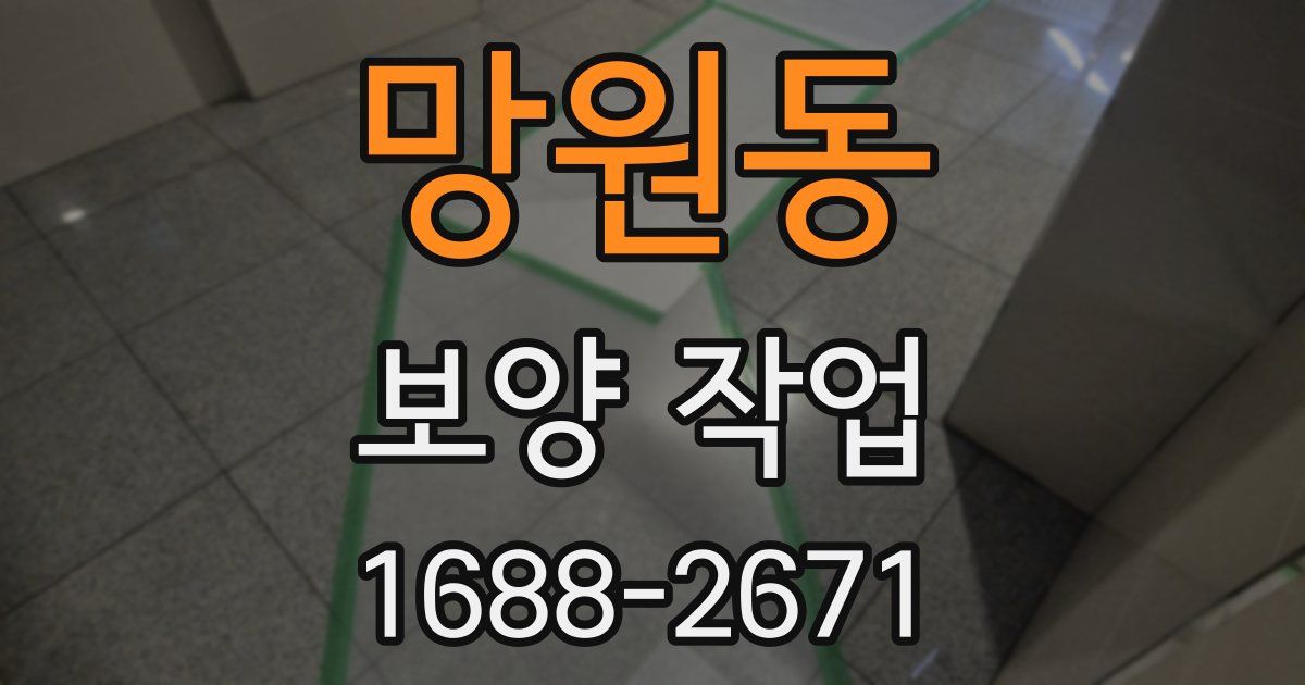 망원동 보양 작업