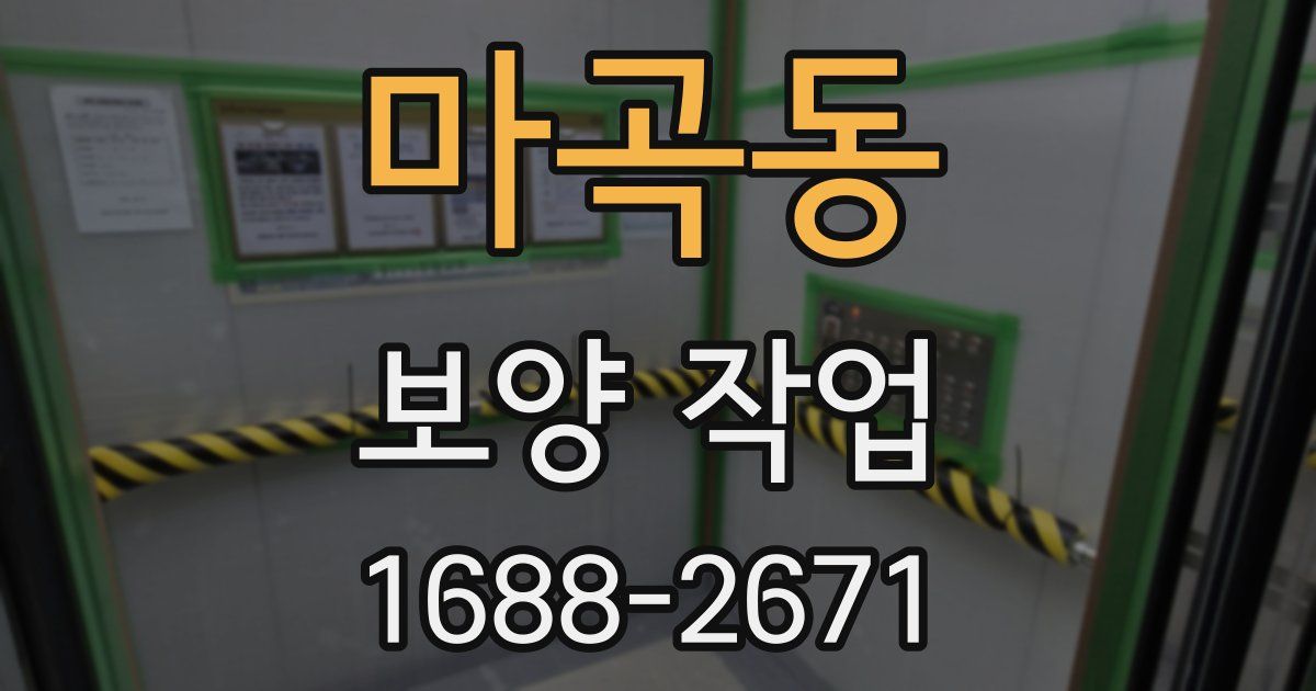마곡동 보양 작업