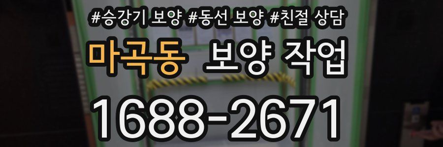 마곡동 보양 작업