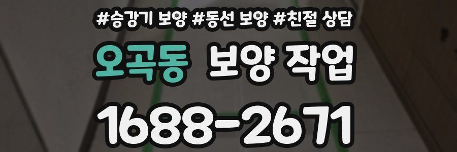 오곡동 보양 작업