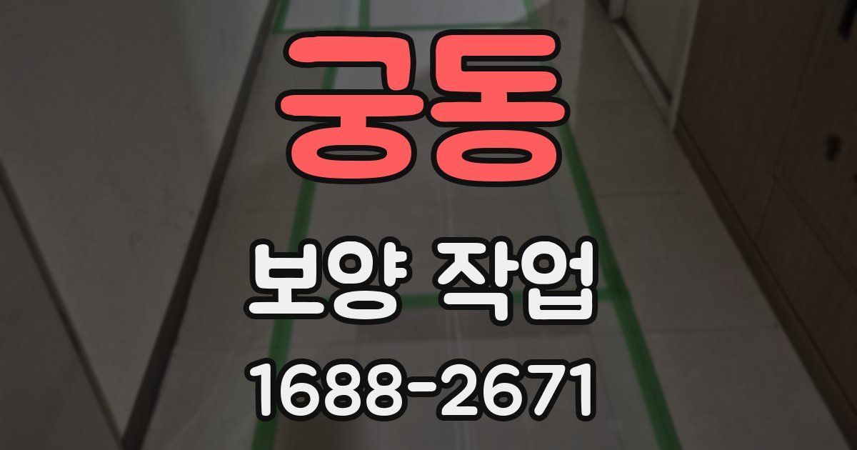 궁동 보양 작업