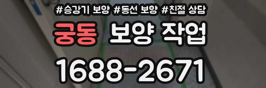 궁동 보양 작업
