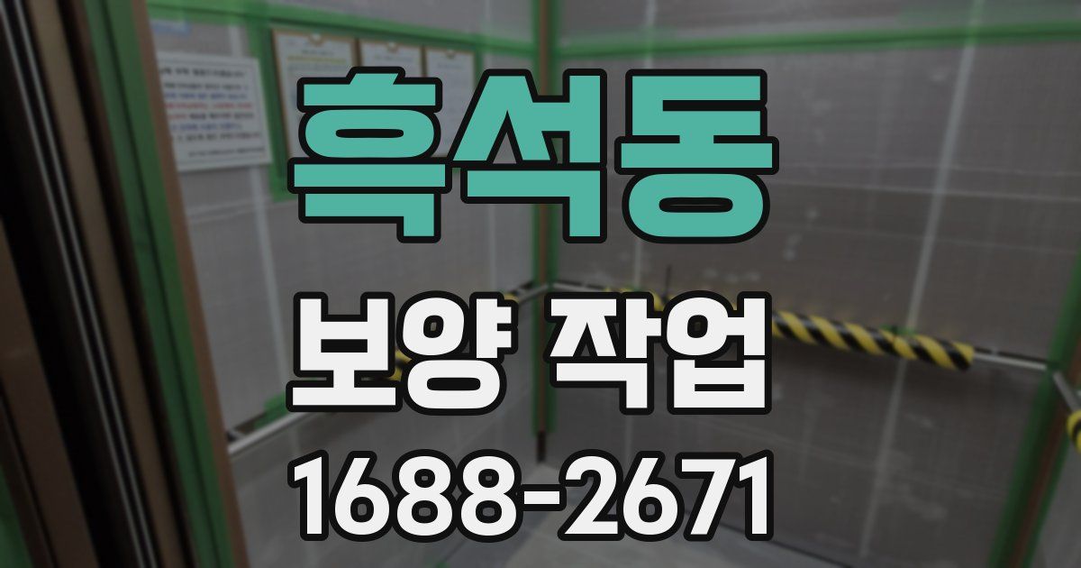 흑석동 보양 작업