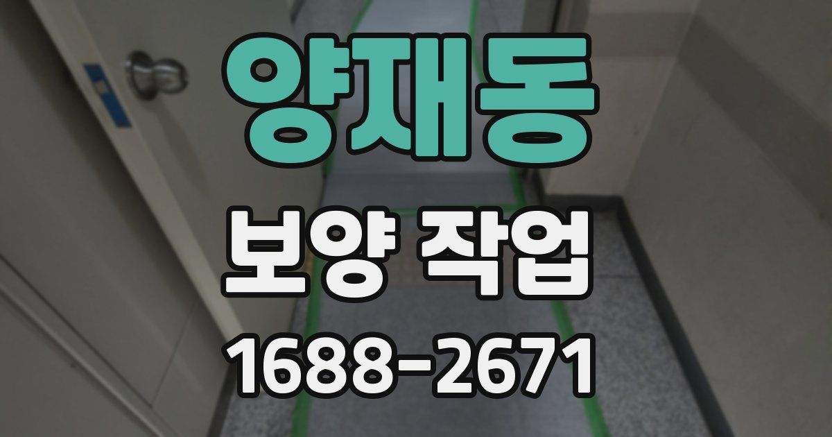 양재동 보양 작업