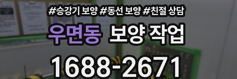우면동 보양 작업