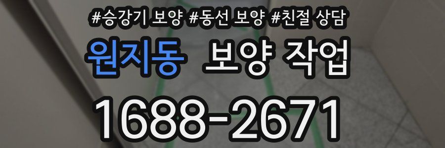 원지동 보양 작업