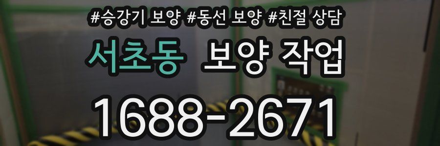 서초동 보양 작업