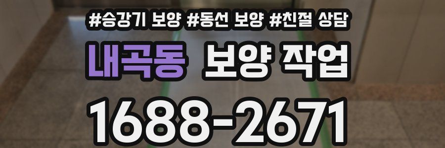 내곡동 보양 작업