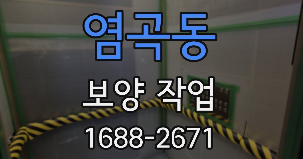 염곡동 보양 작업