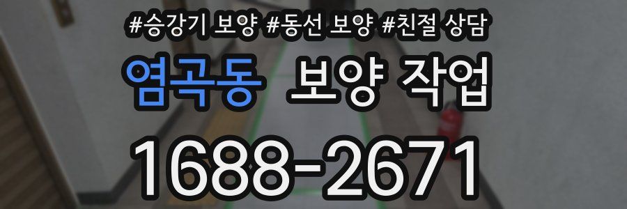 염곡동 보양 작업