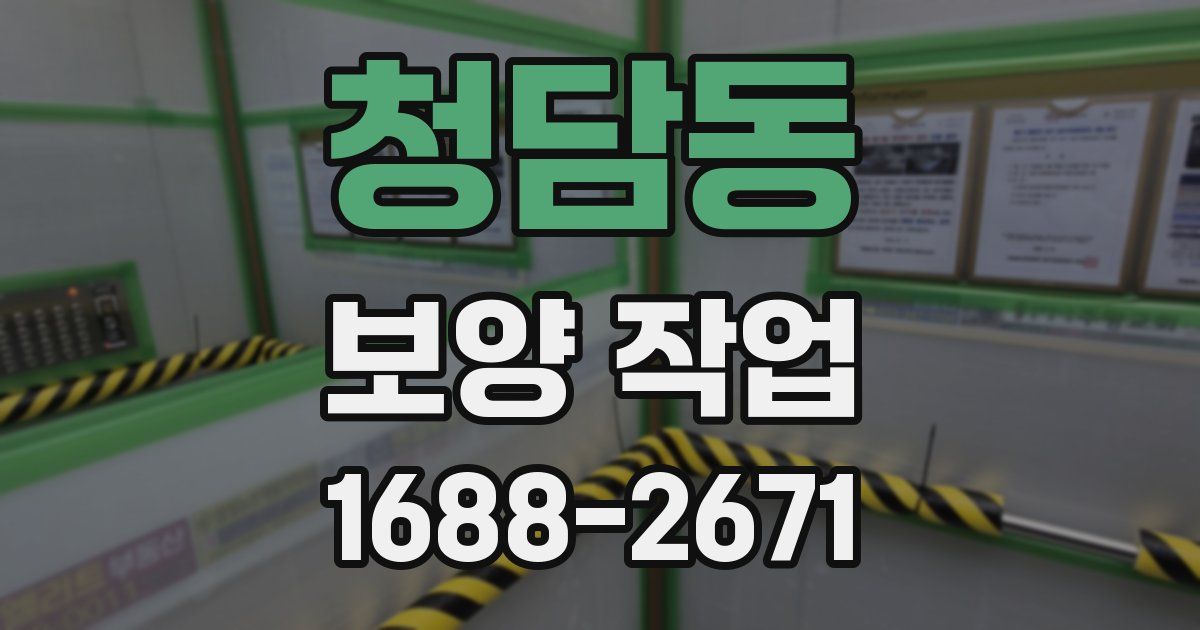 청담동 보양 작업