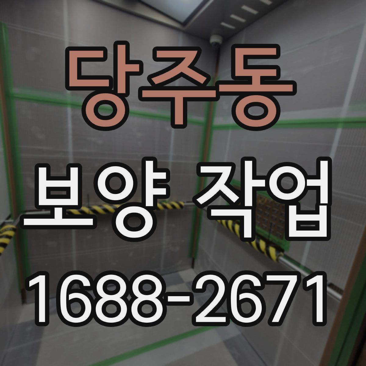 당주동 보양 작업 관련 오해와 실제 차이