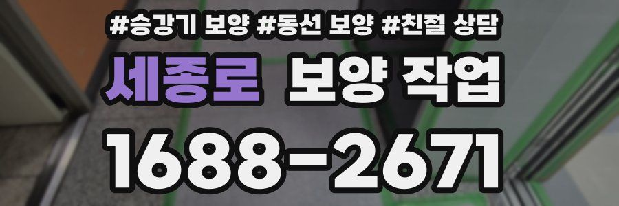세종로 보양 작업
