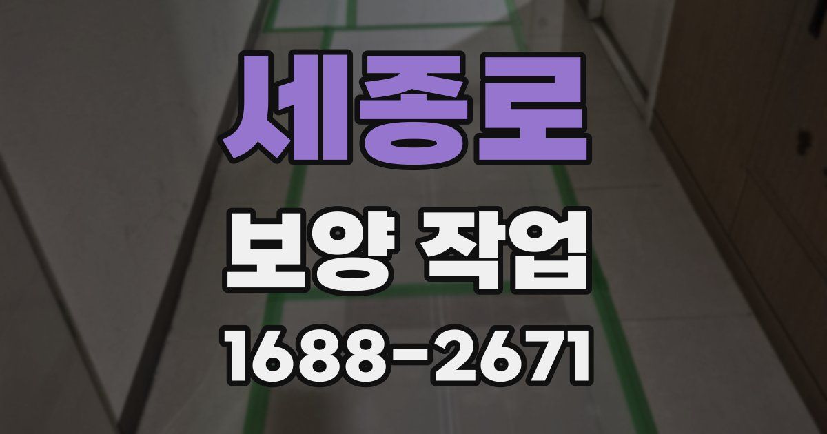 세종로 보양 작업