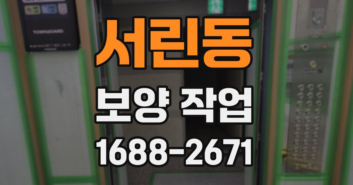 서린동 보양 작업
