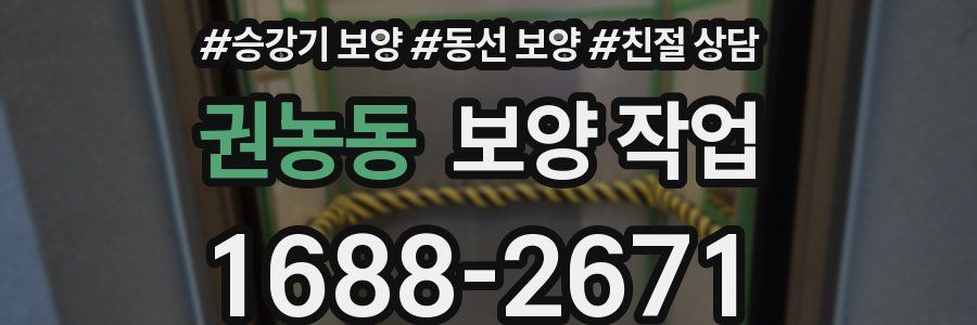 권농동 보양 작업