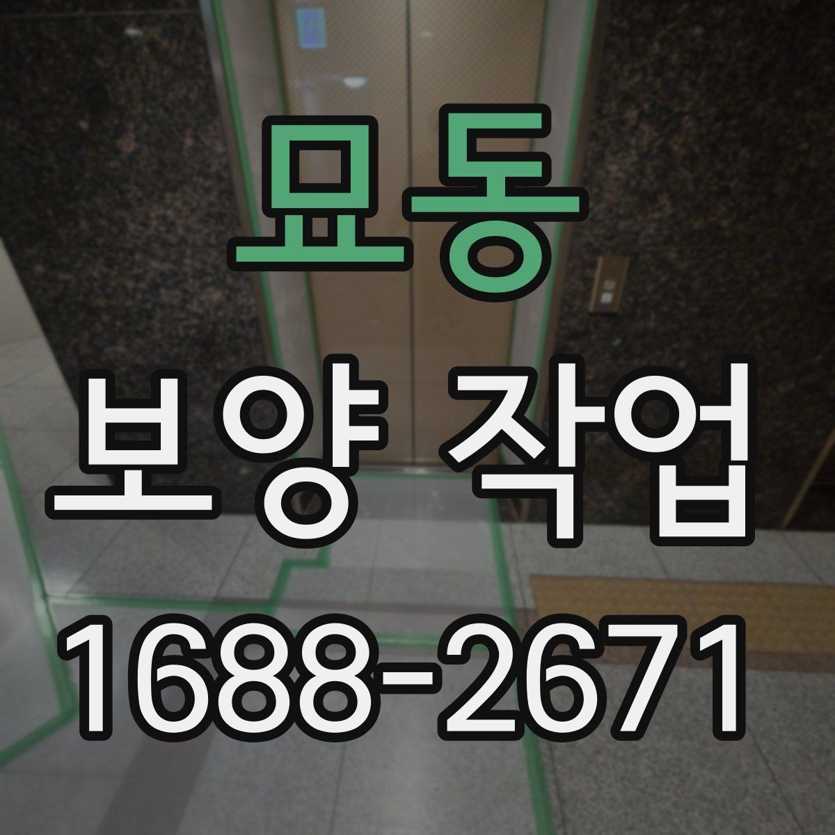 묘동 보양 작업 시작 전에 꼭 확인할 일정