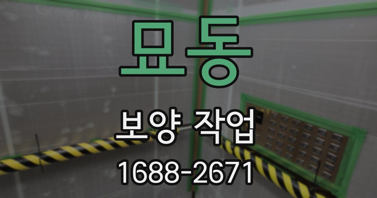 묘동 보양 작업
