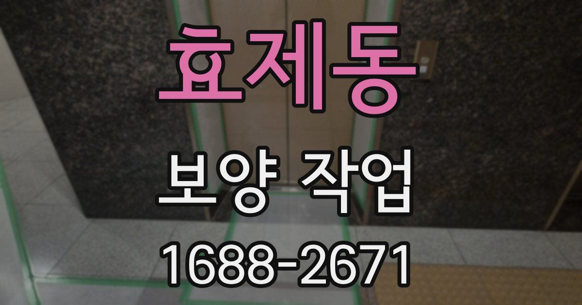 효제동 보양 작업