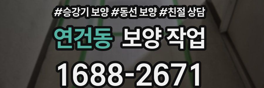 연건동 보양 작업