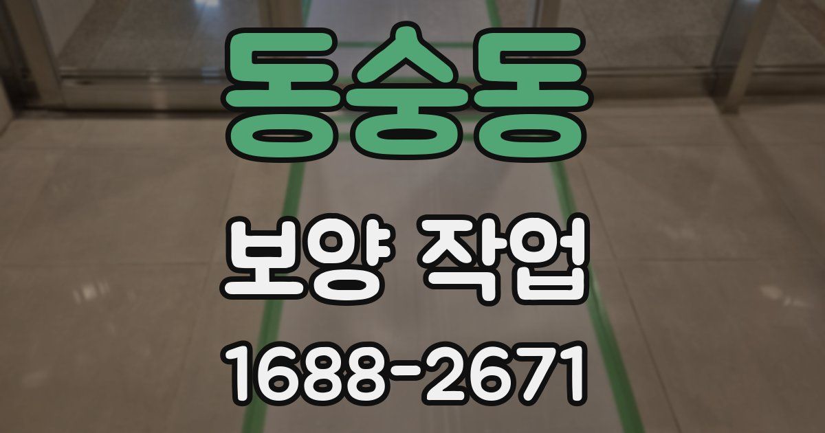동숭동 보양 작업