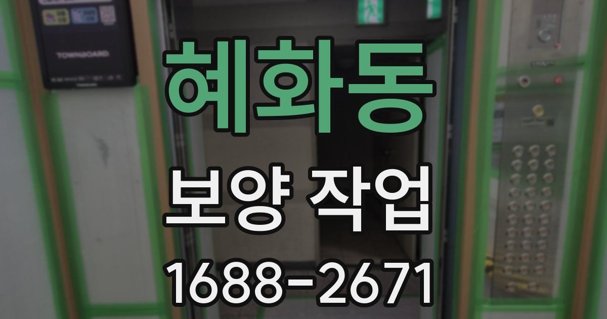 혜화동 보양 작업