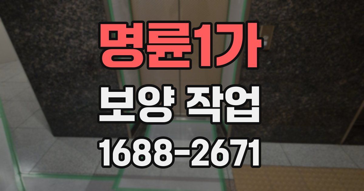 명륜1가 보양 작업