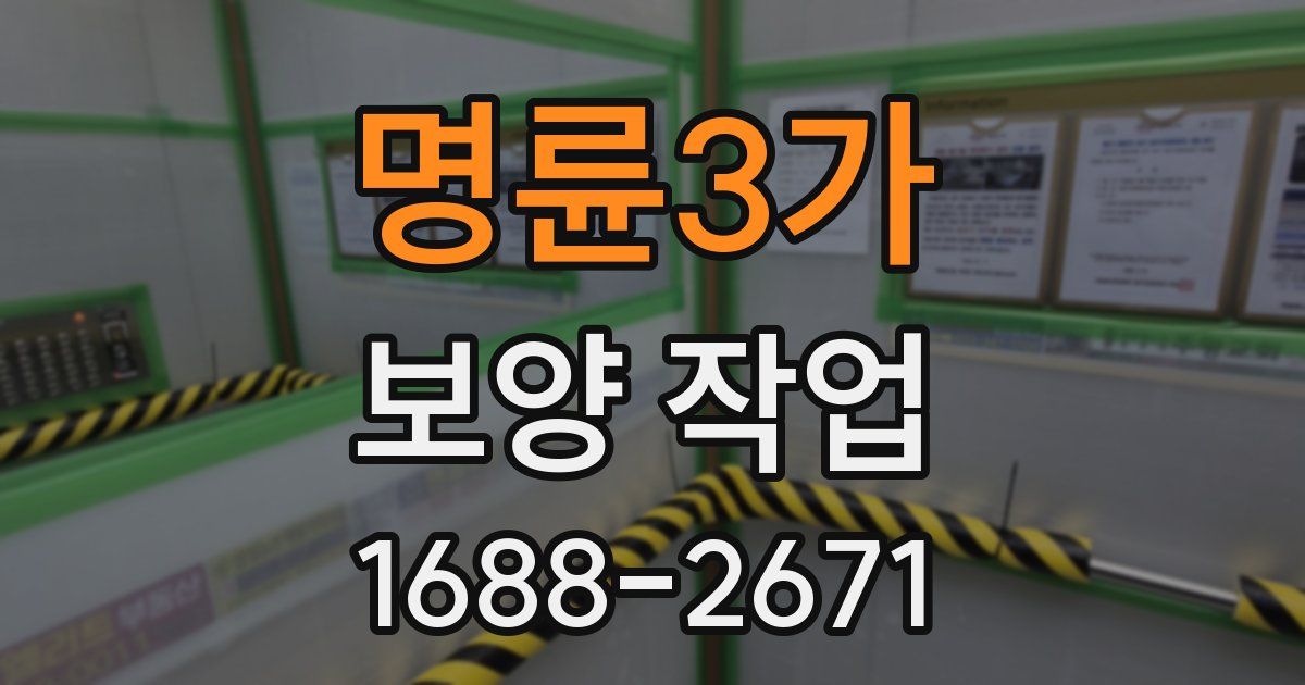 명륜3가 보양 작업