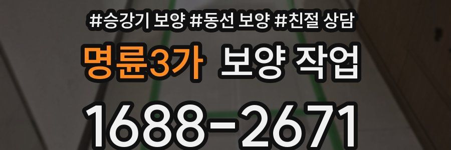 명륜3가 보양 작업