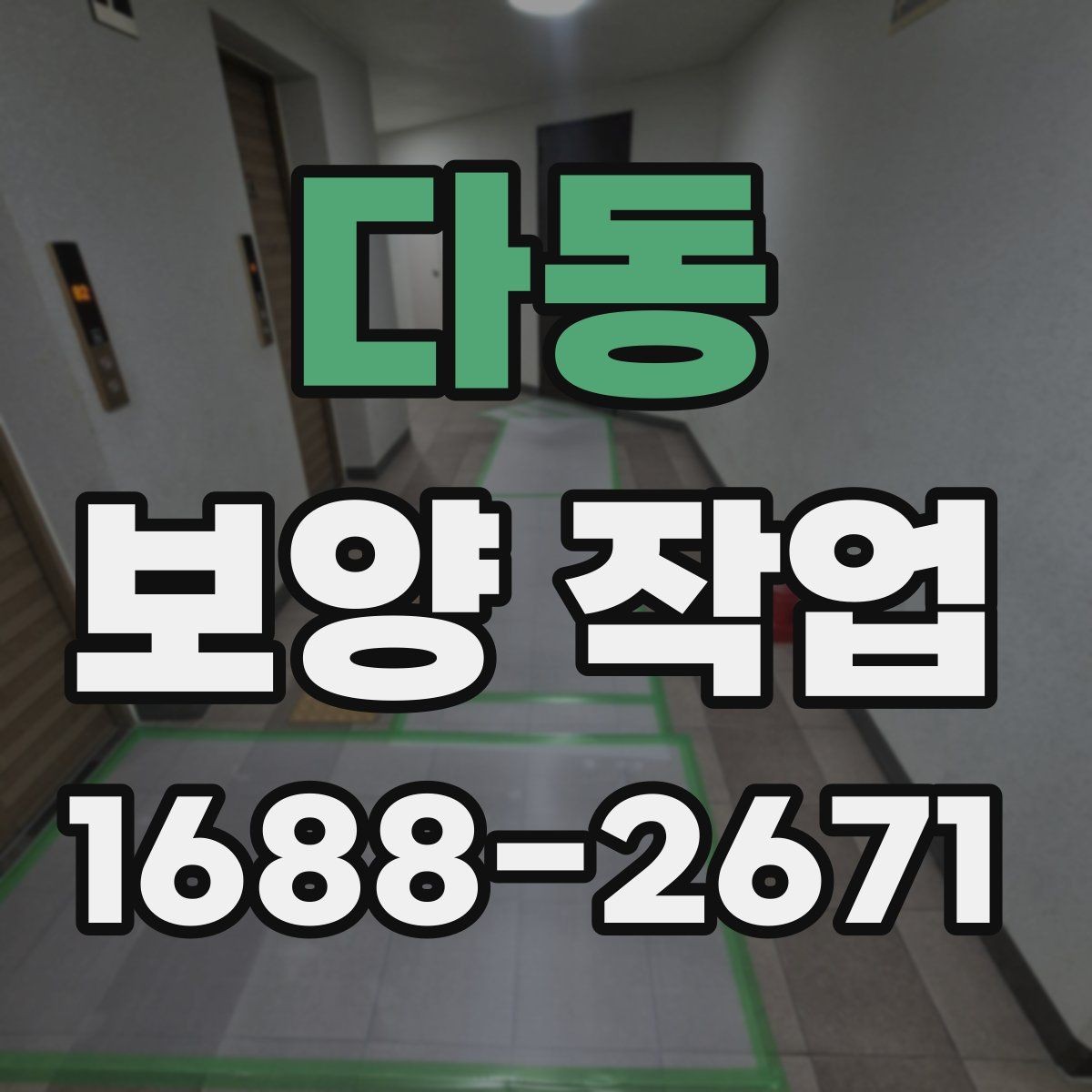다동 보양 작업 시작 전에 꼭 확인할 일정