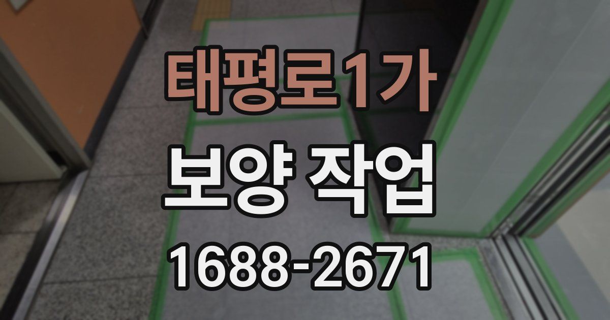 태평로1가 보양 작업