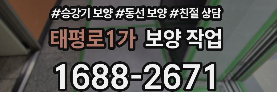 태평로1가 보양 작업